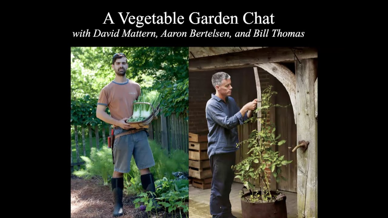 A Vegetable Garden Chat with David Mattern and Aaron Bertelsen, hosted ...