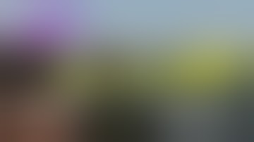 Zero To Hero - The Trials Of Taviana - A2 Origins Mod  [ Ep 1 ]