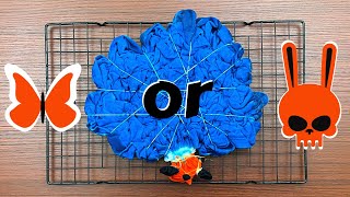 Tie-dye pattern : PRETTY BUTTERFLY or ZOMBIE BUNNY HEAD - Which Do You See? Net Worth