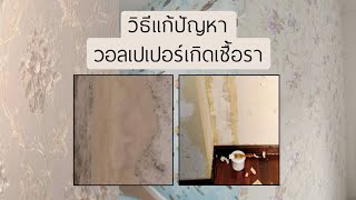 เชื้อราในวอลล์เปเปอร์.. แก้อย่างไร❓❓❓❓ screenshot 4