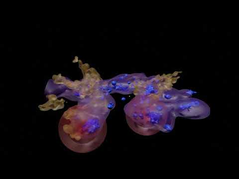 Improved Solar Neighbourhood and Local Bubble fly through