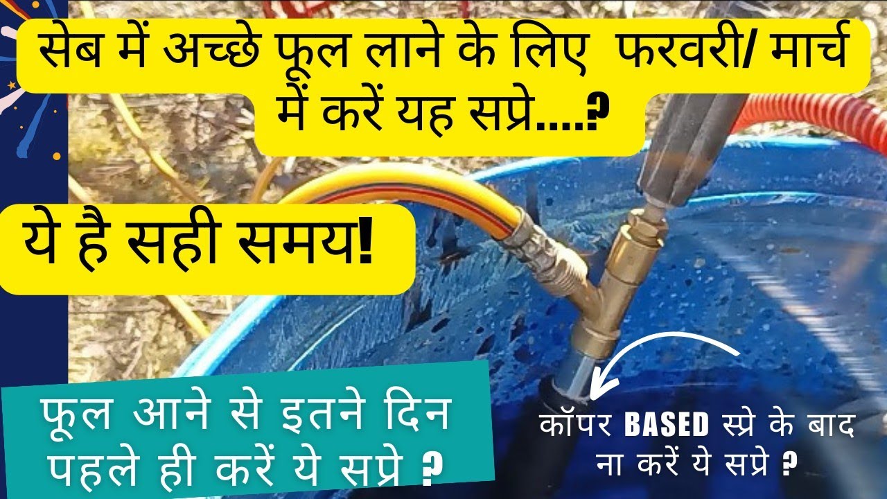 Hydrogen Cynamide ! Dormex Spray for Ultimate Flowering In Early Stage! जल्दी फूल लाने का राज!