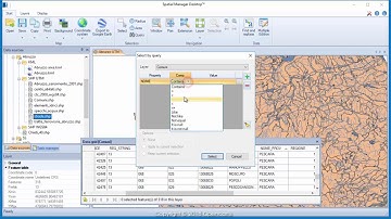Retrieve existing data values when querying (Desktop) - Spatial Manager Blog