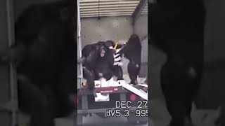 Chimps Started Throwing Toilet Paper Out of a Moving Truck