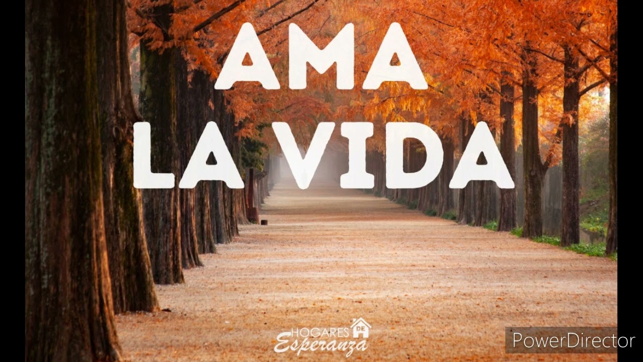 Ama la vida. YouTube