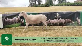 LOT 18
