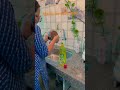 जय सवारिया सेठ #minivlog #daliyvlog #mastitime #youtubeshorts