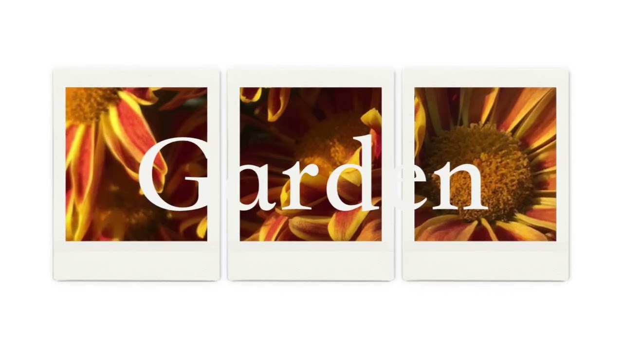 Garden- an original song about a farewell without saying goodbye