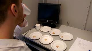 Sensory Analysis -  Triangle Testing