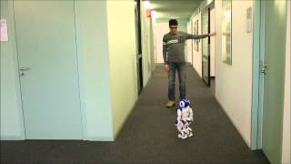 Controlling the Nao Robot using Arm Gestures
