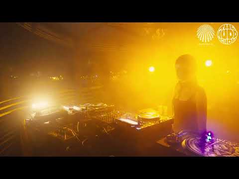 Forest | themuddshow x Château Perché