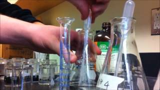 Beta Vulgaris Membrane Permeability and pH