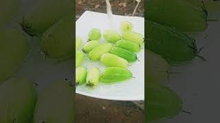 ഈ പള ടര ചയത നകകയടടണട Shorts