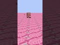 MJ Pig