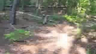 Elachee Run 20080531