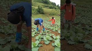 Tired But Not Giving Up