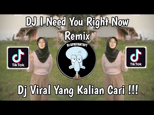 DJ I NEED YOU RIGHT NOW REMIX | DJ DONT LET ME DOWN VIRAL TIK TOK TERBARU 2024 YANG KALIAN CARI ! class=