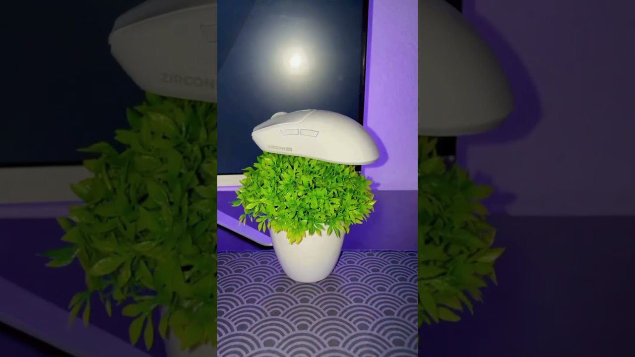 OZON: 1718433913 WB: 330962033 ЯМ: 5730554072  