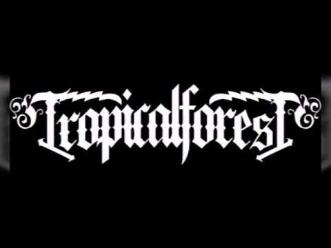 Tropical Forest - Rimba Raya (lirik)
