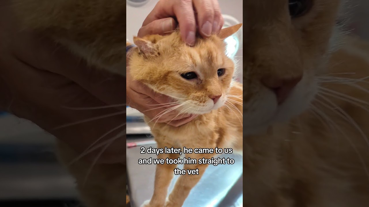 20 years young ❤️ 