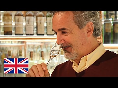 Video: Co Je Grappa? Crash Course On The Italian Pomace Brandy