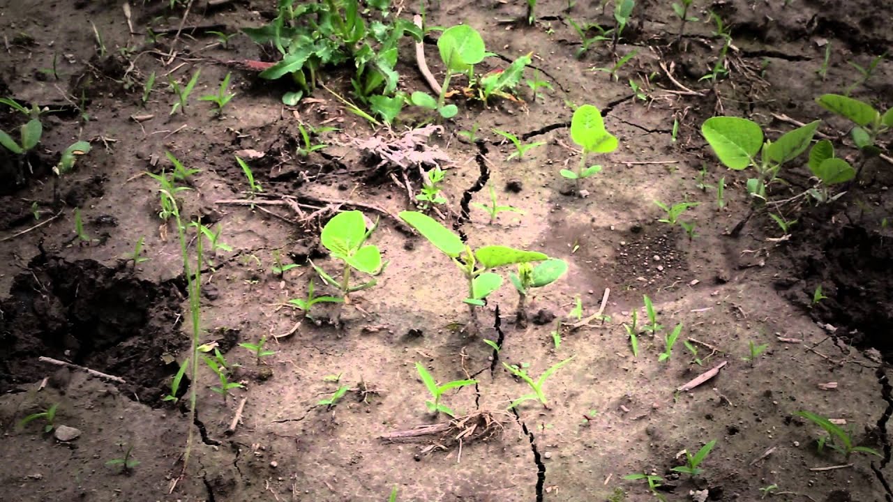 Non Typical Wildlife Solutions Hot Zone Fence