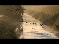 Waterfall Brown Noise | River | Relax Music Vol. 0024 | 4K