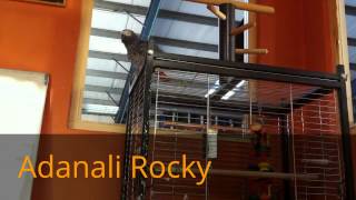 ADANALI ROCKY - ADANALIYIK GARDAŞ