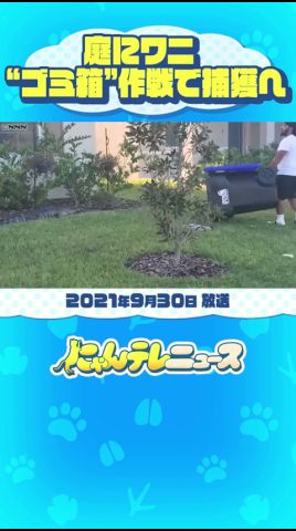 【民家の庭にワニ】立ち向かう男性 ゴミ箱でにじり寄り…