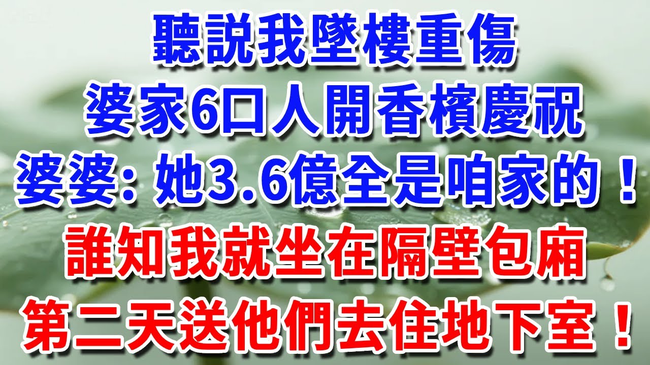 聽説我墜樓重傷，婆家6口開香檳慶祝，婆婆：她3.6億全是咱家的！誰知我坐在隔壁包廂，隔天別墅過戶、他們搬進地下室！