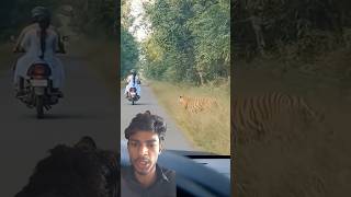 Download Lagu #unfrezzmyaccount MP3