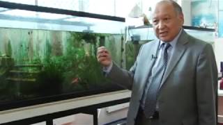 Гидромелиорация, экология жана жерге жайгаштыруу факультети