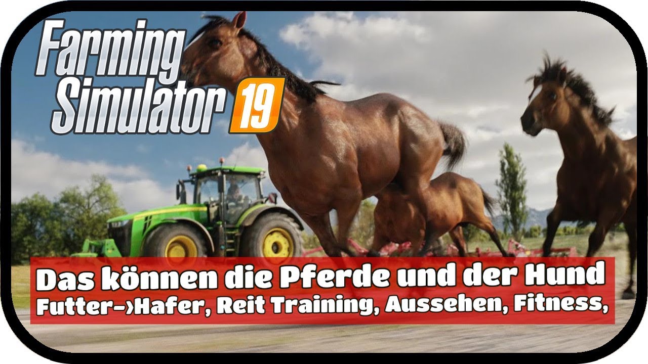 LS19 - Das können die PFERDE und der HUND im Farming Simulator 19 - LS19 Infos Deutsch