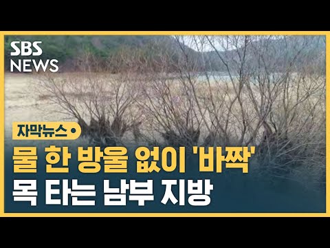<strong>물</strong> 한 방울 없이 &amp;#39;바짝&amp;#39;…기약 없는 비 <strong>소식에</strong> 목 타는 남부 (자막뉴스) / SBS