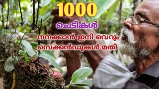 Drip, sprinkler, mist irrigation system in orchids at home| Plant Auto watering system malayalam
