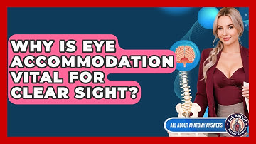 Why Is Eye Accommodation Vital For Clear Sight? - All About Anatomy Answers