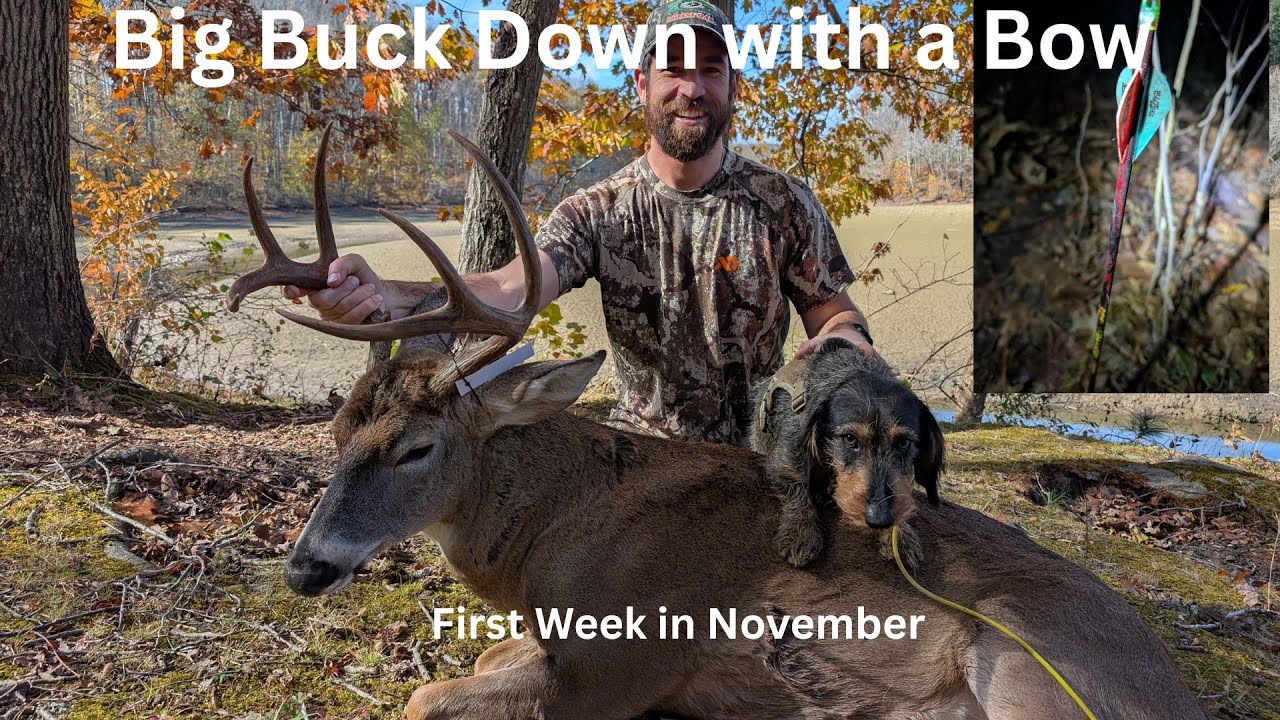 Big 8 Point Buck Down in the First Week of November
