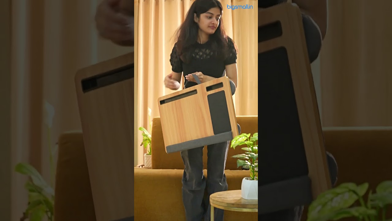 Portable Laptop Desk With Cushion 