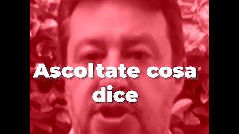 ECCO LA GENIALE TEORIA DI SALVINI