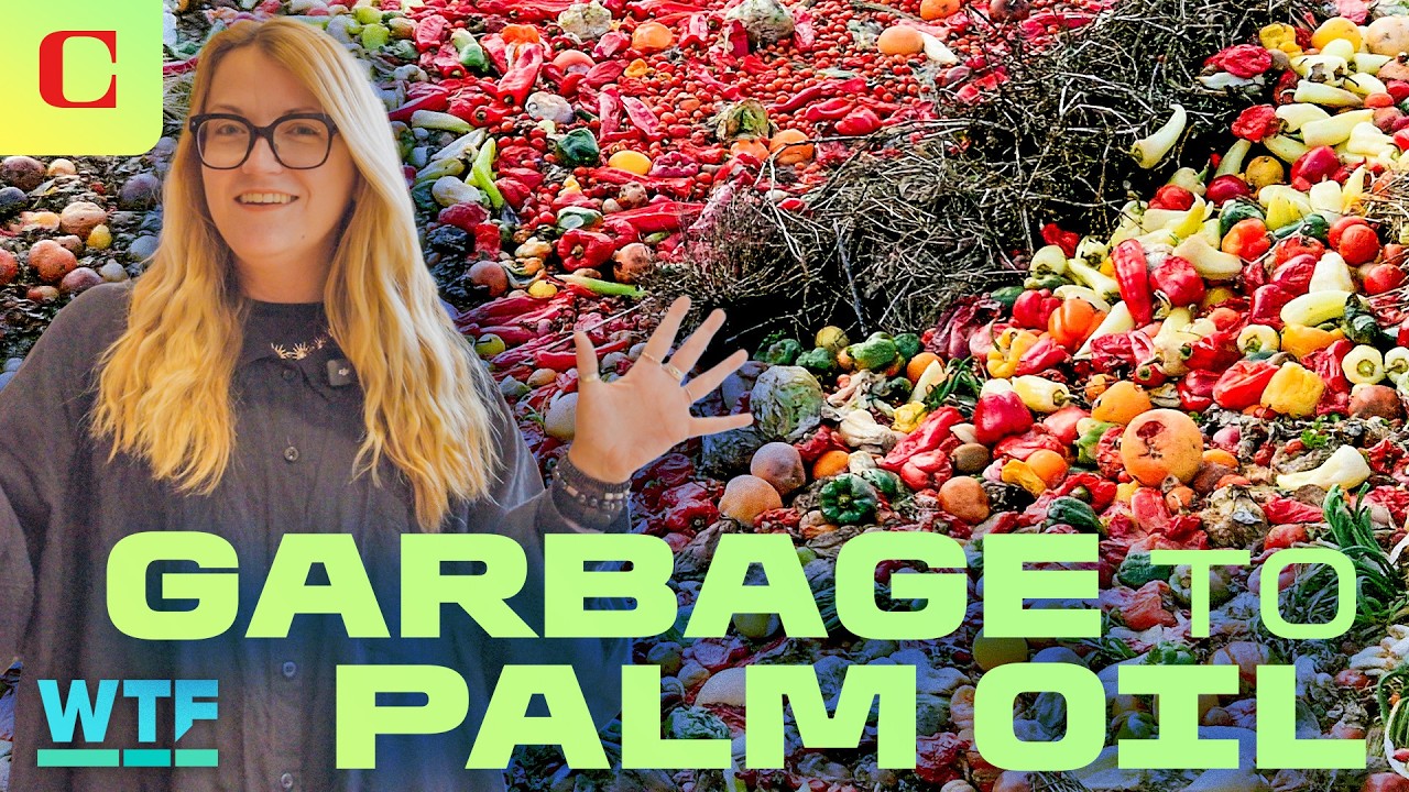 Palm Oil is Finished: New Alternative Made from Food Waste | What The Future