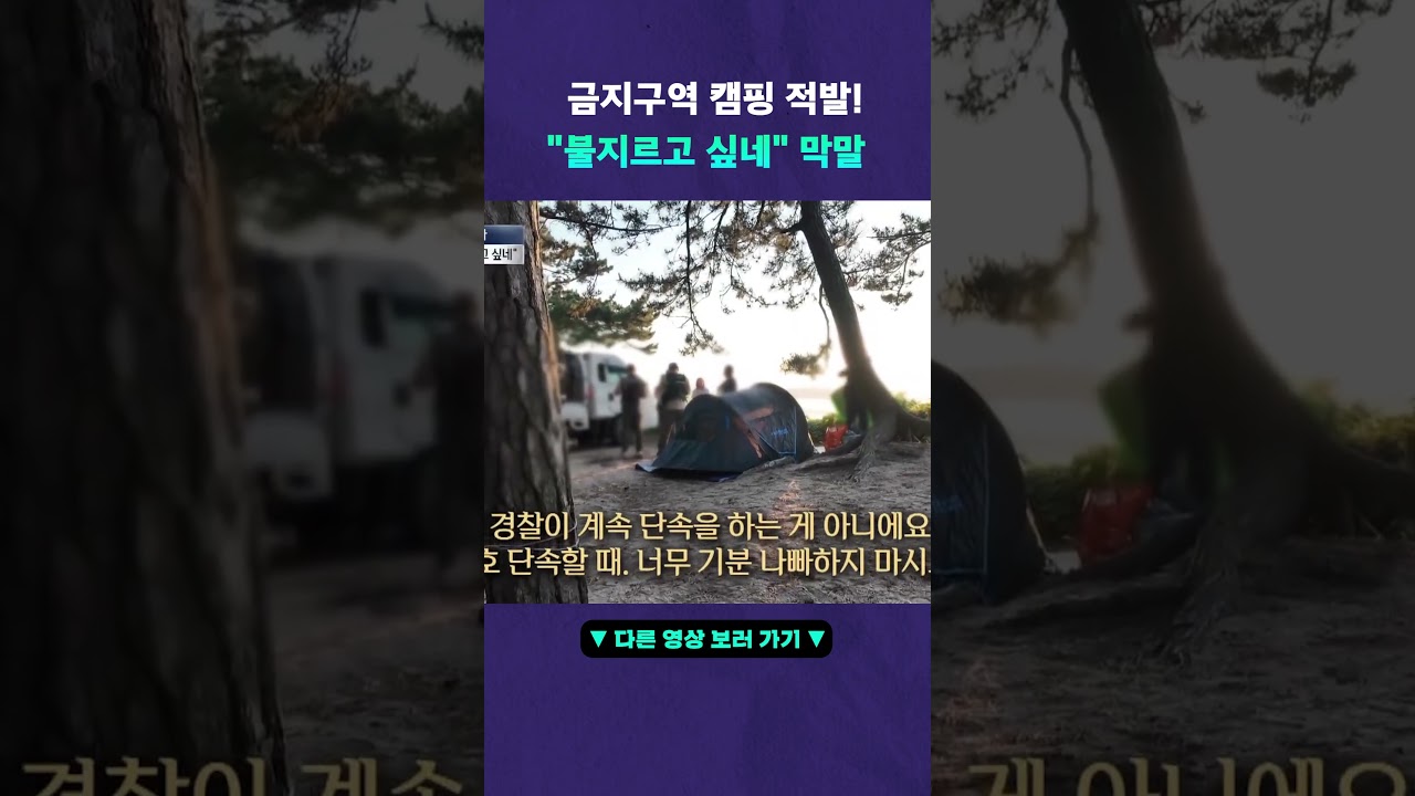 적반하장 캠핑족 #뉴픽