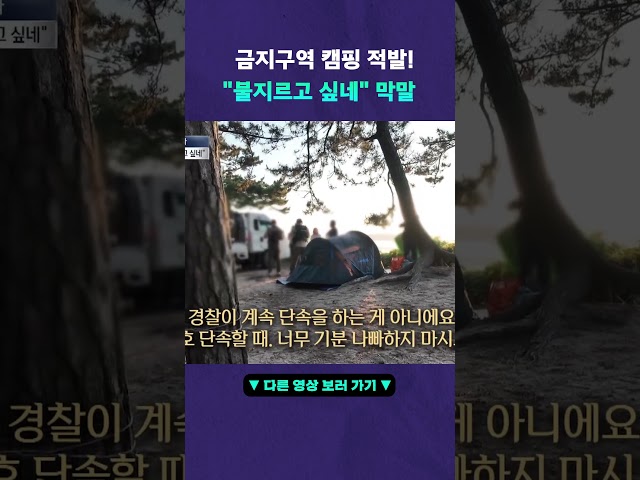 적반하장 캠핑족 #뉴픽