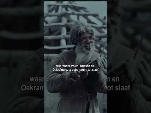 Heinrich \"Hein\" Severloh: D-Day Through the Eyes of a German Machine Gunner | Battles of the Century