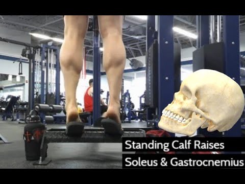 Standing Calf Raises