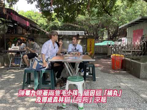 愛貓說溜嘴  #陳零九對五堅情竟是這個感覺