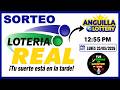 🔴 Sorteo Lotería REAL y ANGUILA 1 PM EN VIVO + Precio del Dólar Hoy Lunes 25 de Mayo 2026