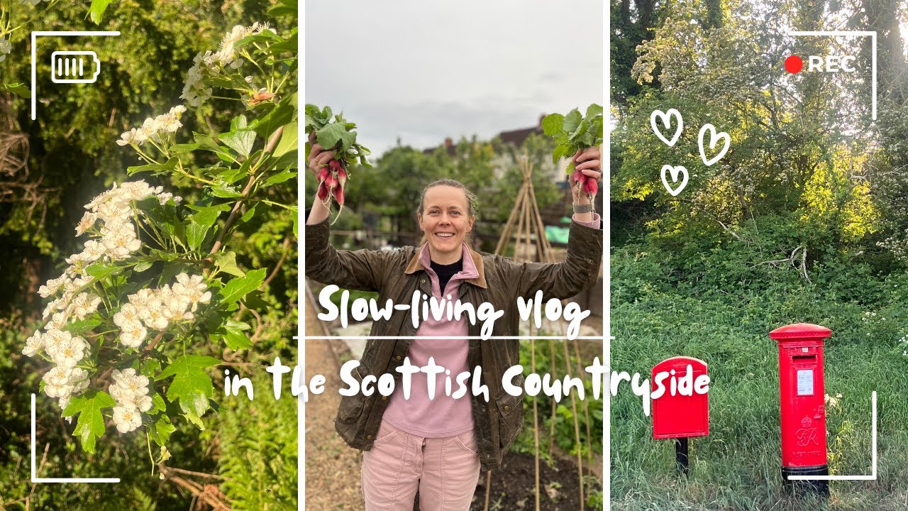 The Cosy Plot - Snail mail and snail trails