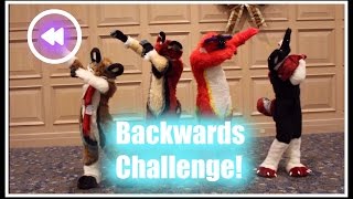 Furry Backwards Challenge! (With Majira, Echo, & Rivalo!)