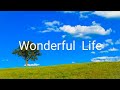 &G『Wonderful Life』歌ってみた!