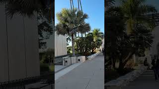 SAN DIEGO, BALBOA PARK, BOTANICAL GARDEN, POND  - САН-ДИЕГО, ПАРК БАЛБОА, БОТАНИЧЕСКИЙ САД, ПРУД